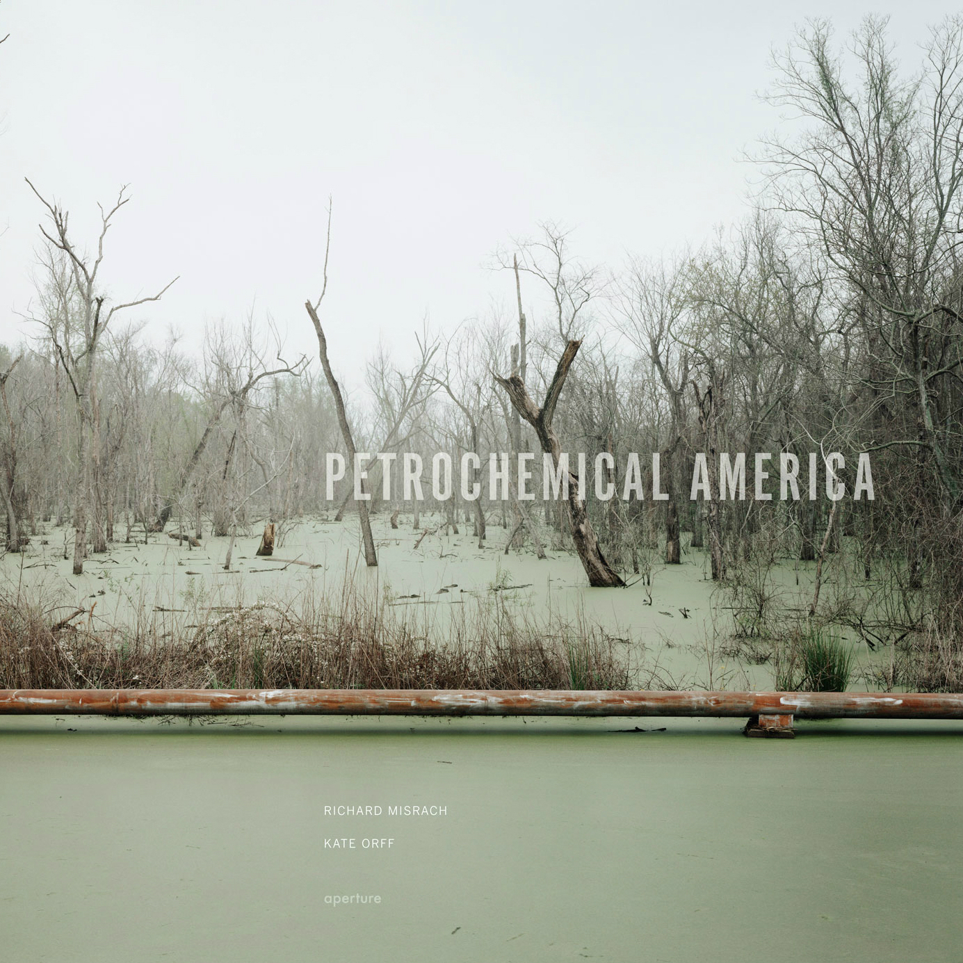Petrochemical America - SCAPE