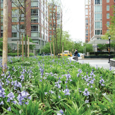 BatteryParkCityCommunityCenter_01_CROP