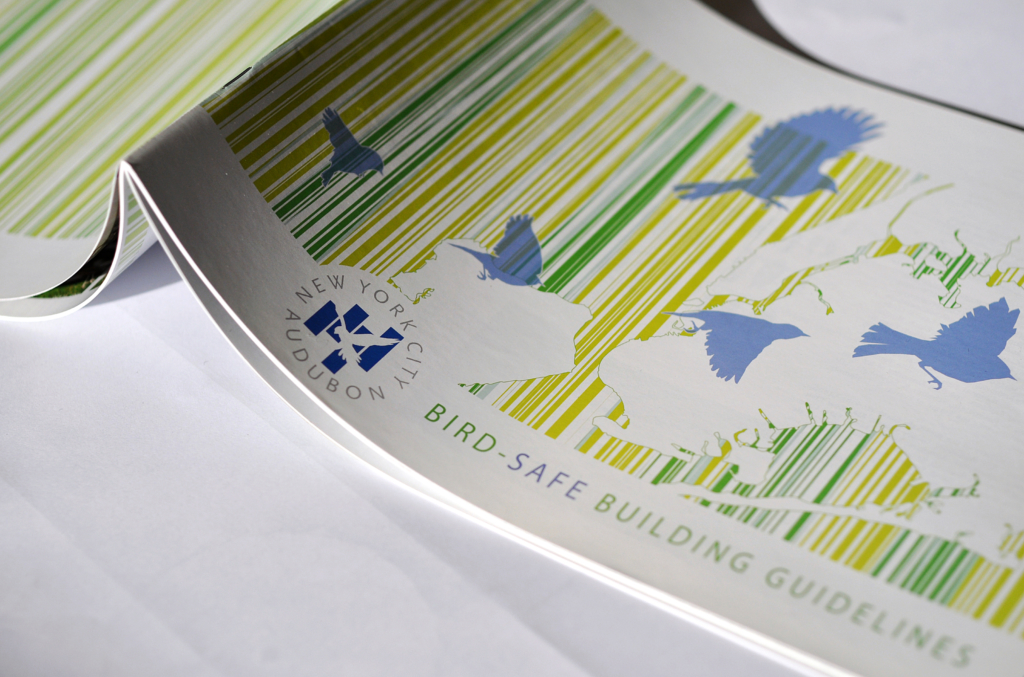 Bird Safe Building Guidelines_cover SCAPE