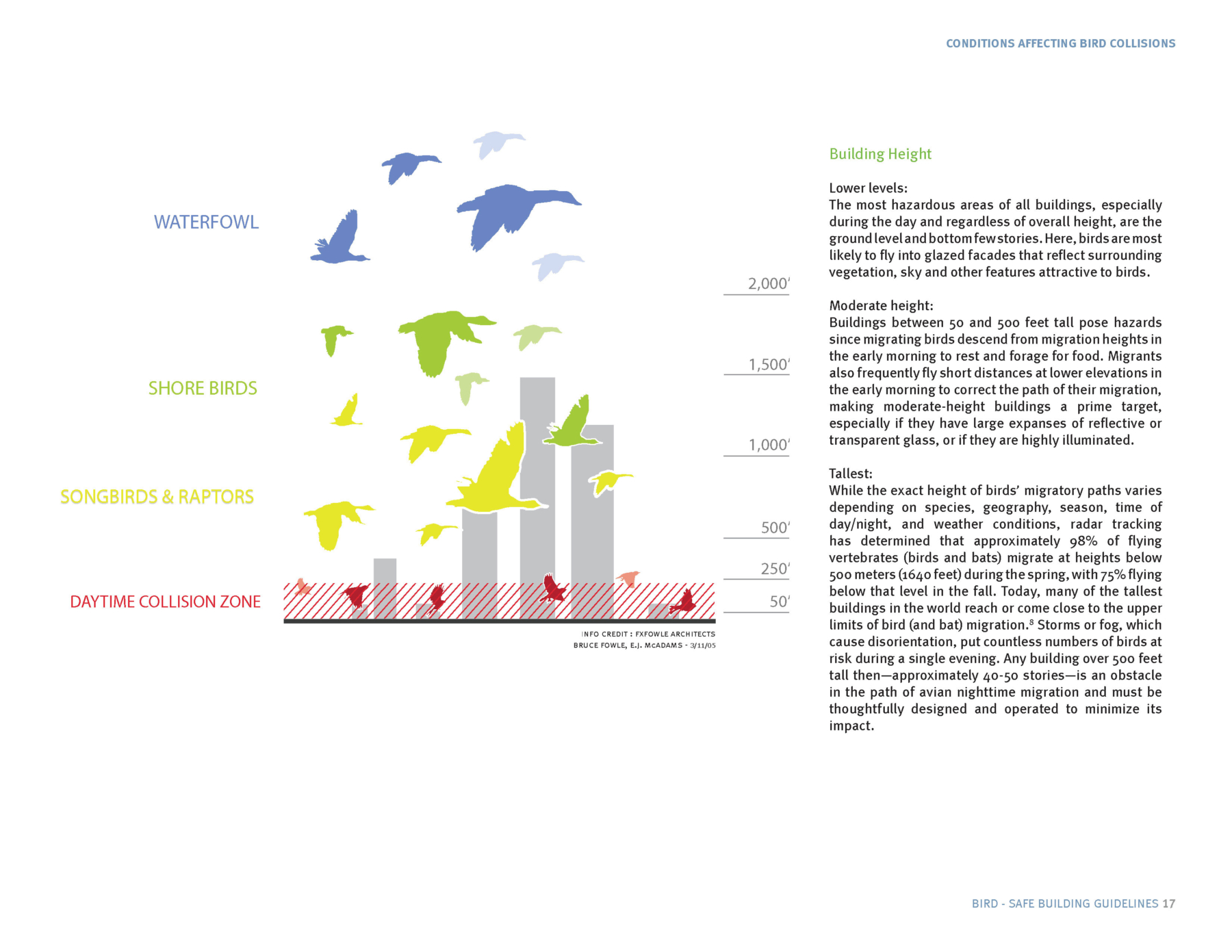 BirdSafe Building Guidelines SCAPE