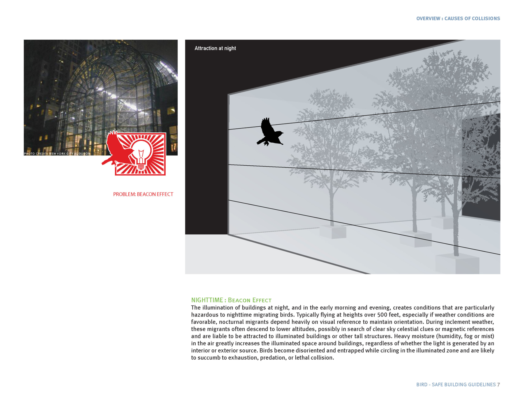 BirdSafe Building Guidelines SCAPE