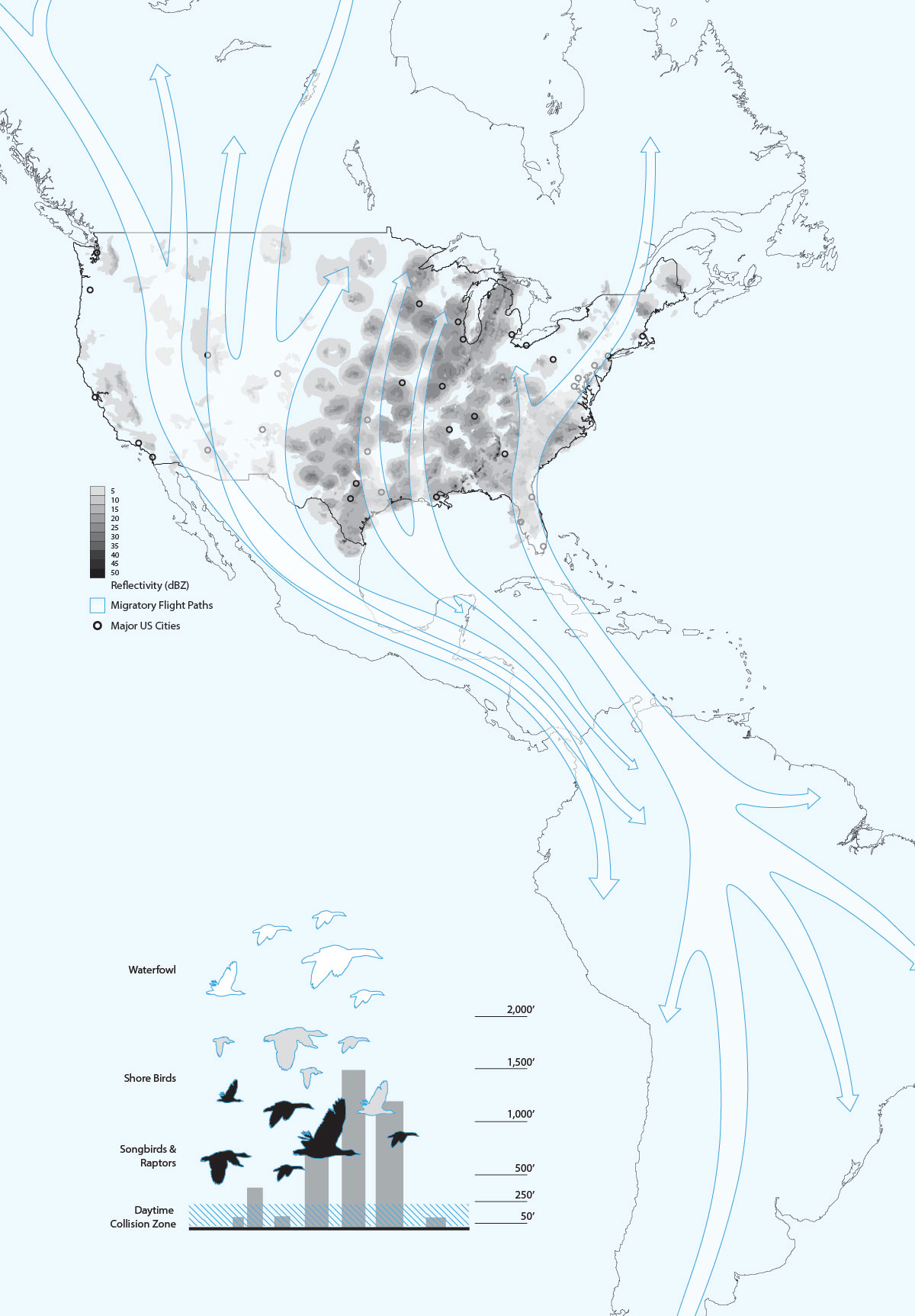 BirdSafe Building Guidelines SCAPE