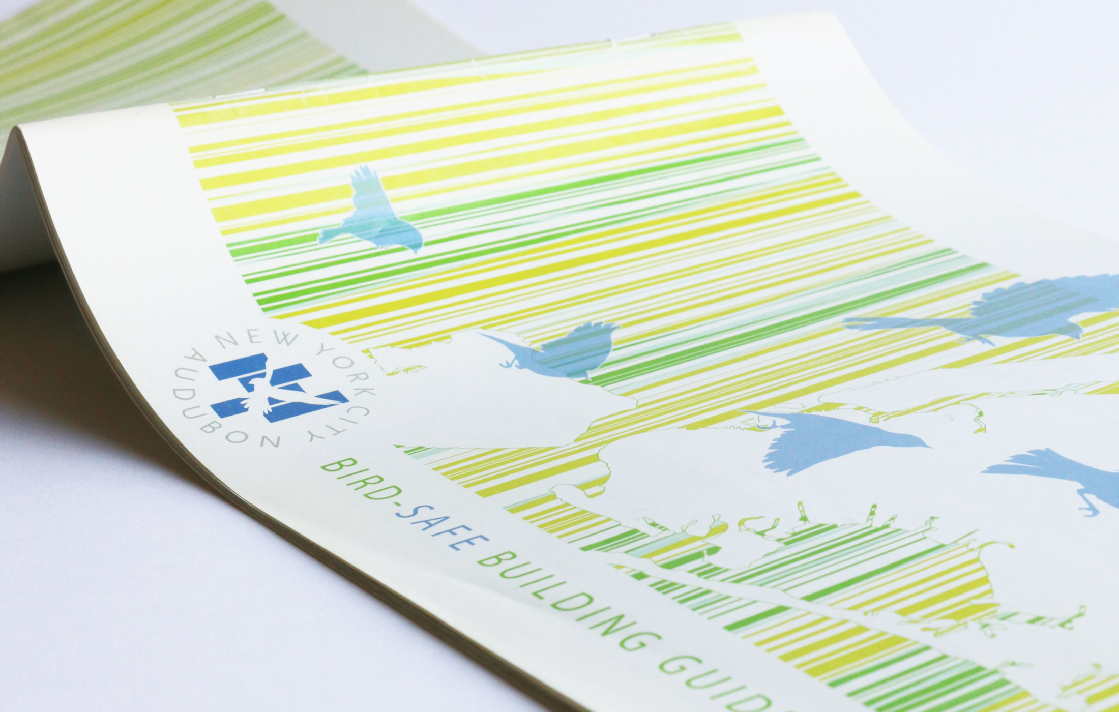 BirdSafe Building Guidelines SCAPE