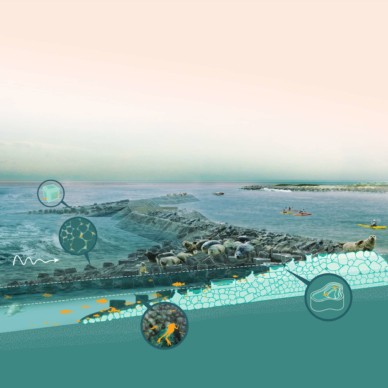 Living Breakwaters—Section View_(c) SCAPE 2014_WEB