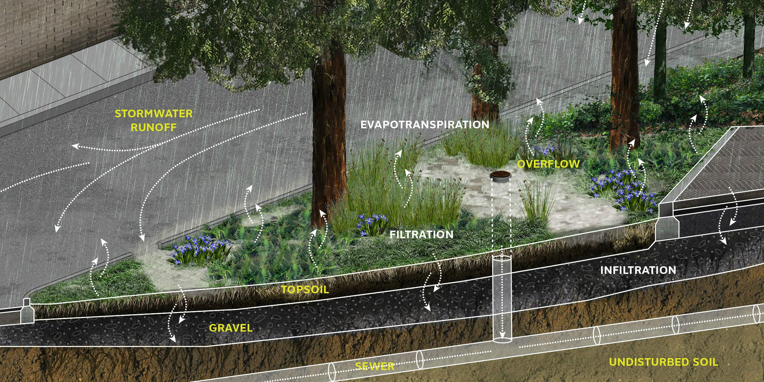Stormwater Capture Park - SCAPE