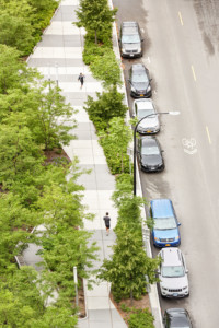 Reforest the Street