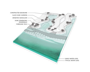 Axon-Diagram1