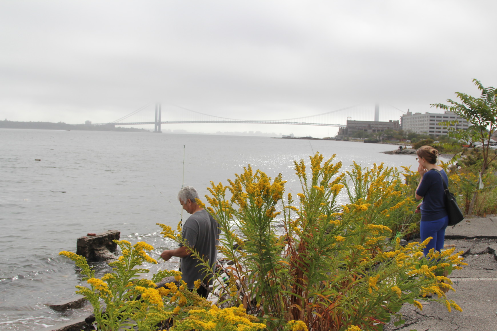 Stapleton Waterfront Park SCAPE