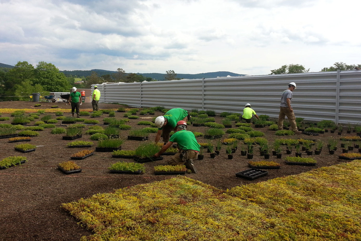 SUNY Cobleskill Agricultural Science and Technology Center SCAPE