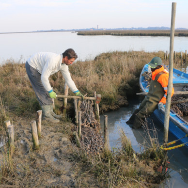 ASLA National Awards_Communications_Ecological Citizens12