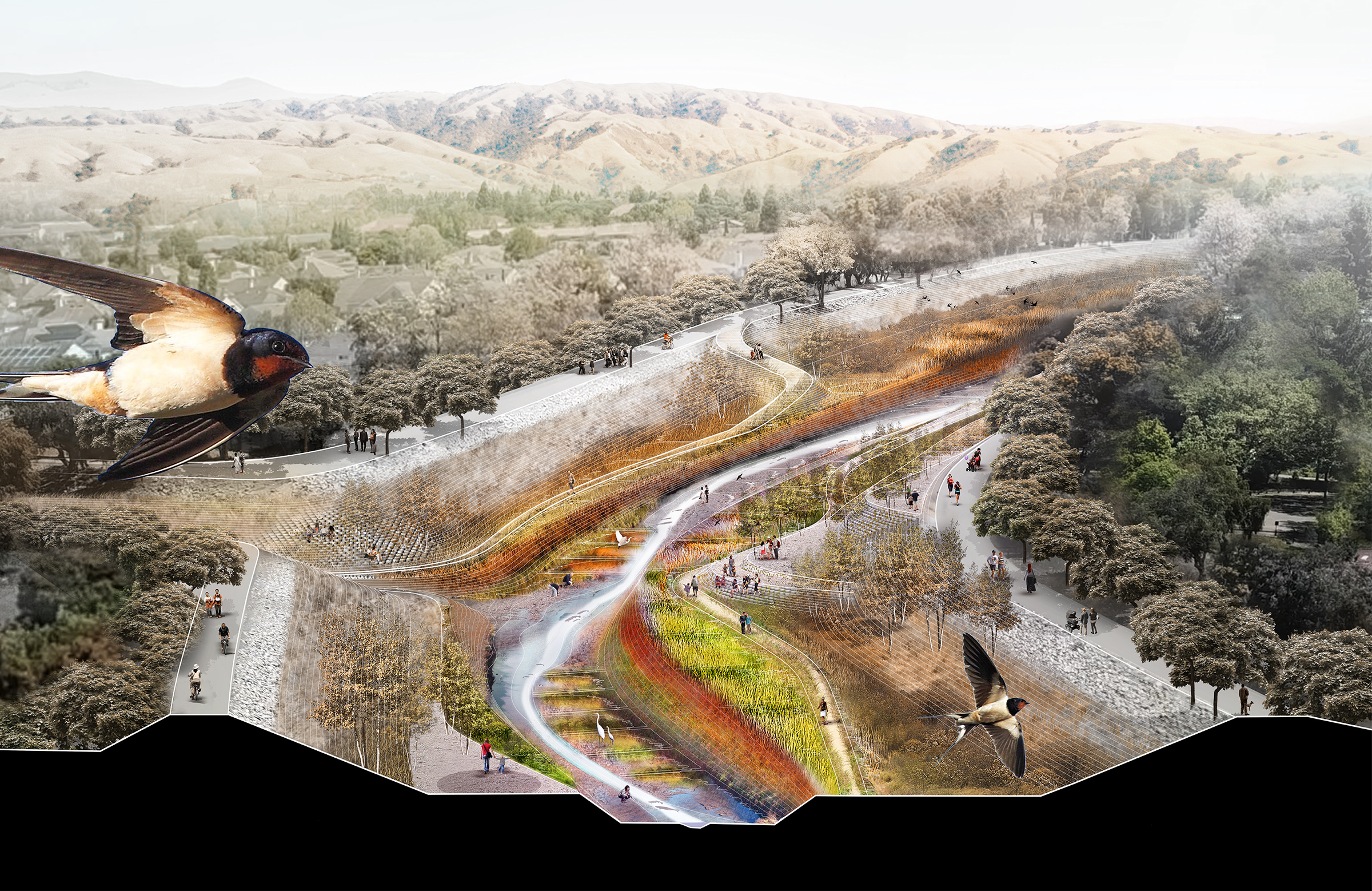 Final Designs For Alameda Creek Scape, Alameda Landscape Design