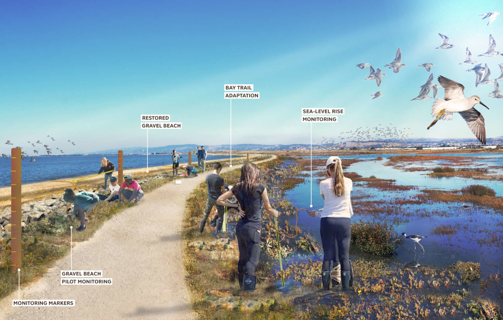 Hayward Regional Shoreline Adaptation Master Plan SCAPE