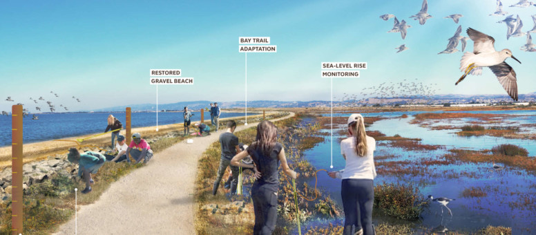 210816 Image Selection - Hayward Regional Shoreline Adaptation Master Plan (No Caption or Heading)2