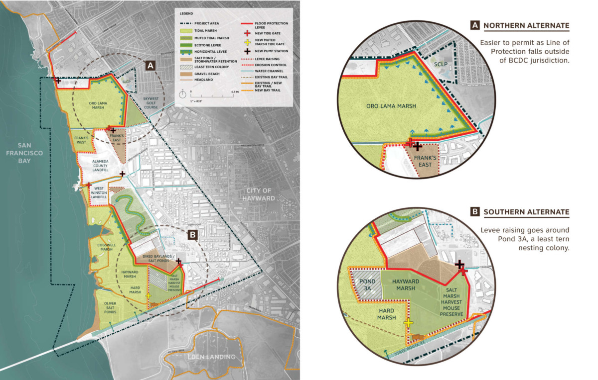 Hayward Regional Shoreline Adaptation Master Plan SCAPE