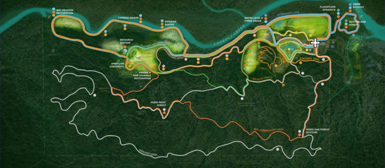 Full-Plan with Thematic Loops_(c) SCAPE 2021