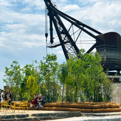 01_Crane_Edit