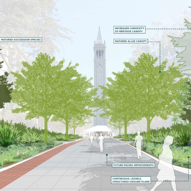 250523_Campanilla Way Corner_Final_EVENTUALLY_Labels